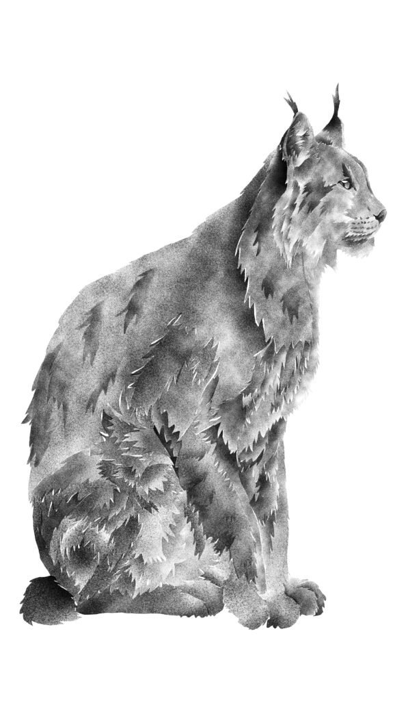 Lynx image