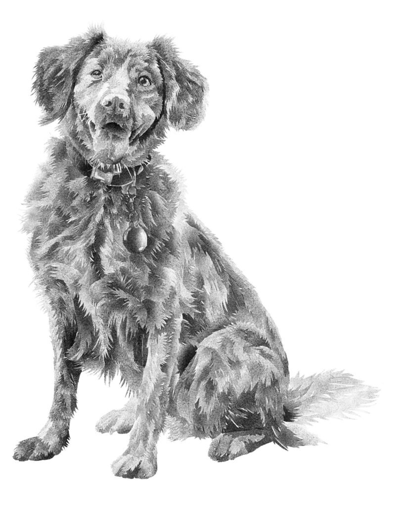 Dog image